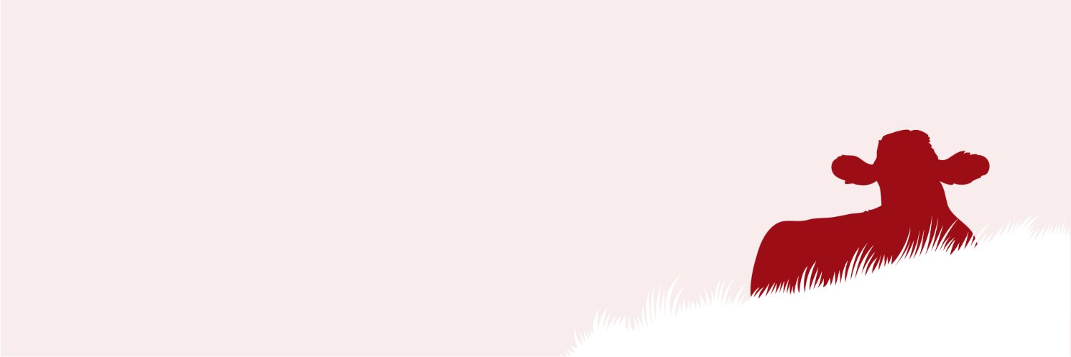 beefcattle_at's profile banner image