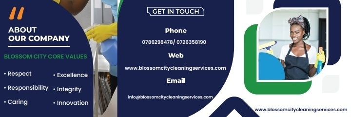 Professional Cleaner @Blossom banner