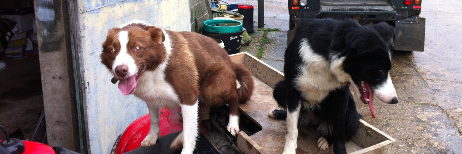 DownlandFarm's profile banner image