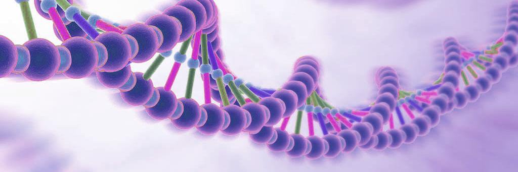 Laura_Genomics's profile banner image