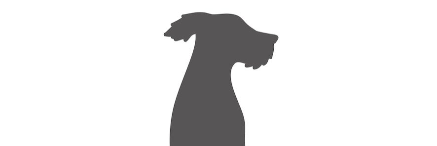 dogipack's profile banner image