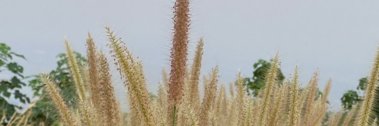 TTCM_HA's profile banner image