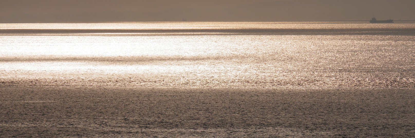 vvgyt's profile banner image