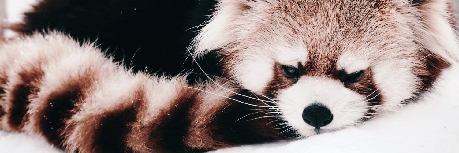 6thfallenstar's profile banner image