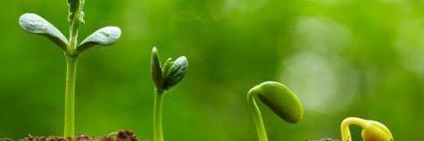 AcharyaSatpal's profile banner image
