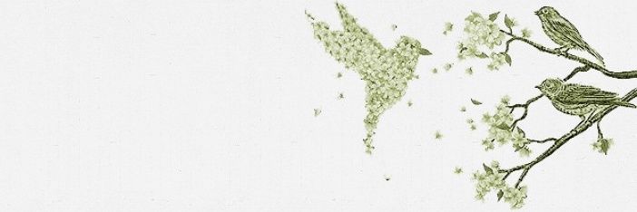 sm1_ah's profile banner image