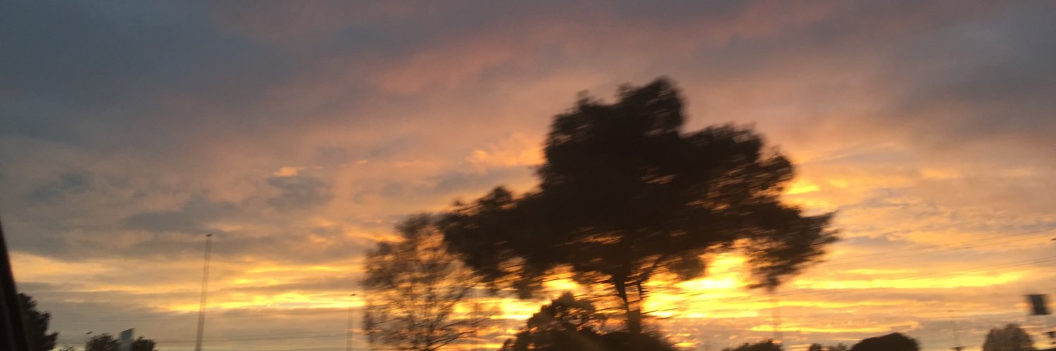 btelisa's profile banner image