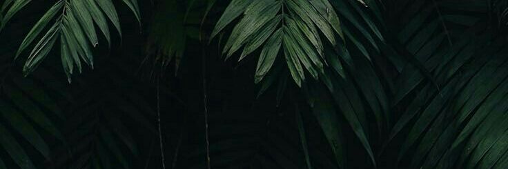 Tm. banner