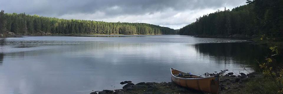 Matt Engstrom banner