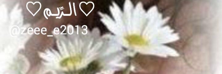 hf00987's profile banner image