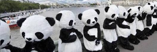 TeamPanda03's profile banner image
