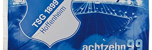 VFL Hoffenheim PS4 banner