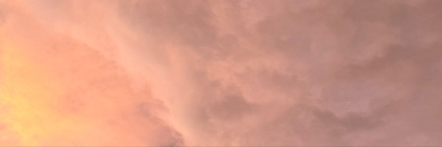 janethe_campos's profile banner image