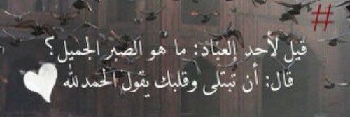2020_wardah's profile banner image