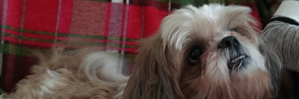 therealweenief's profile banner image