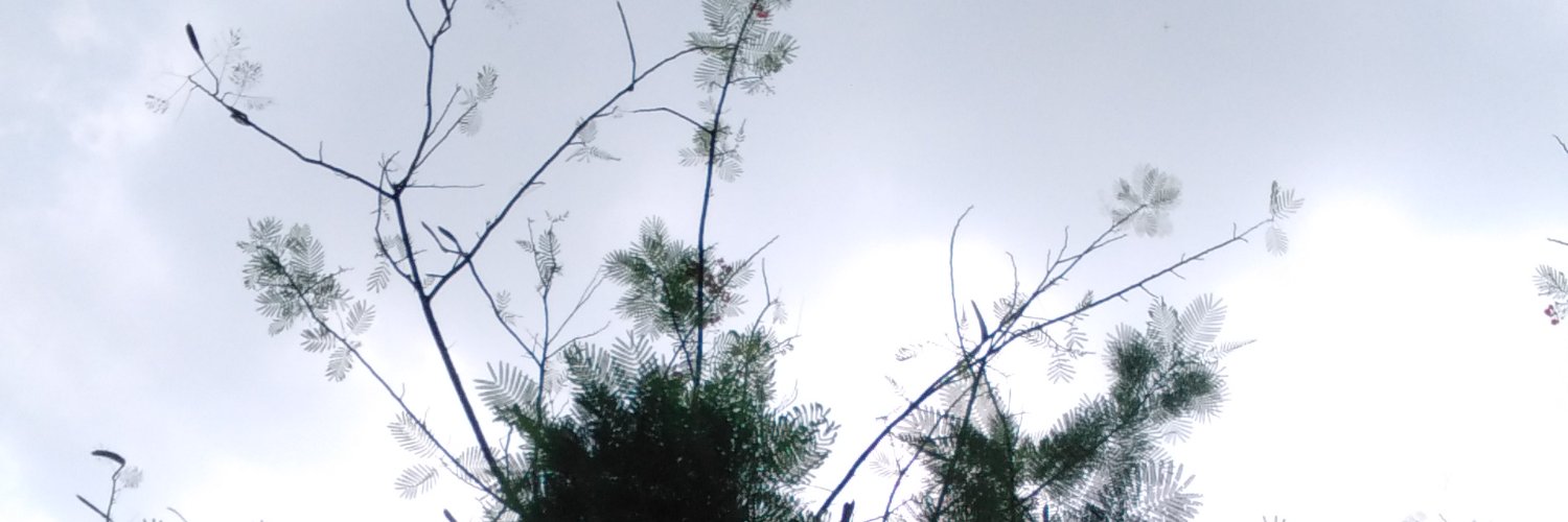 citrayadin_'s profile banner image