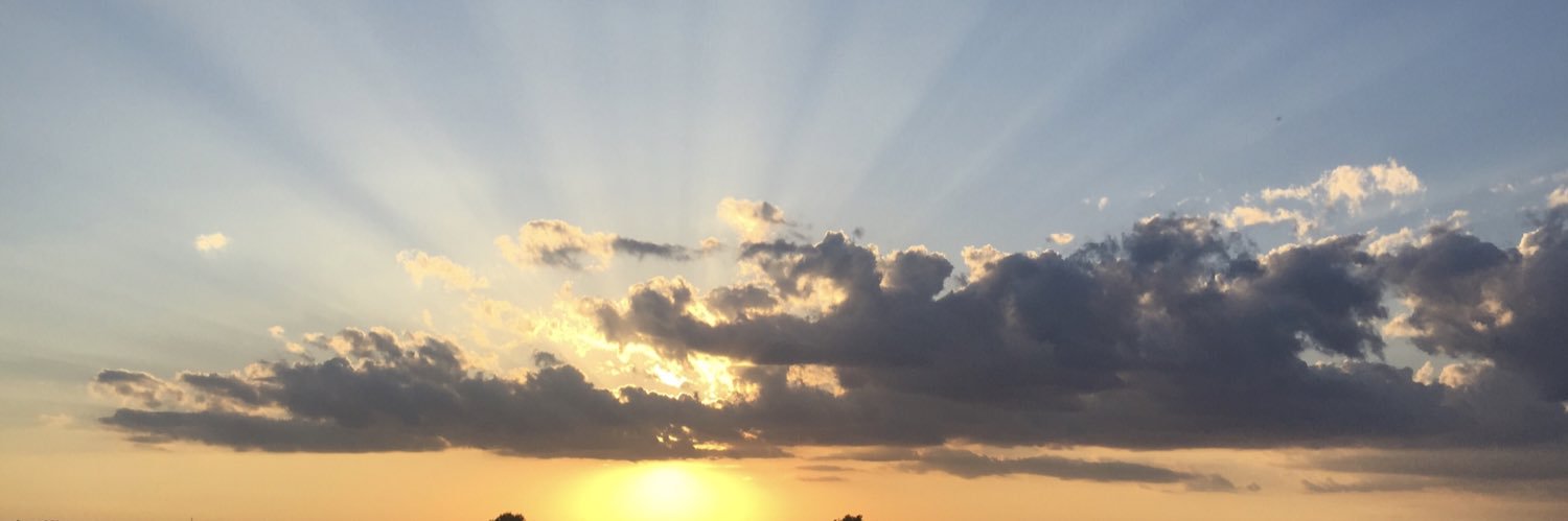aemickelson's profile banner image