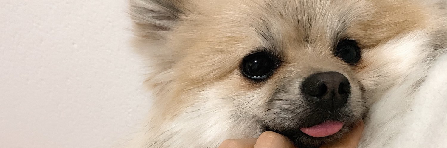 Spring_gaasuuちゃん banner