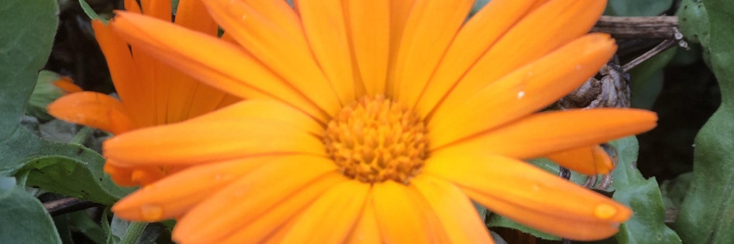 sdycsy's profile banner image