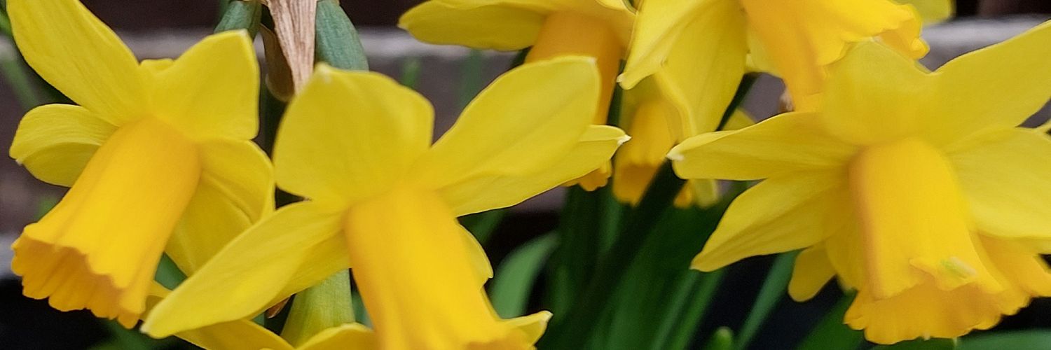 MauriceClark01's profile banner image