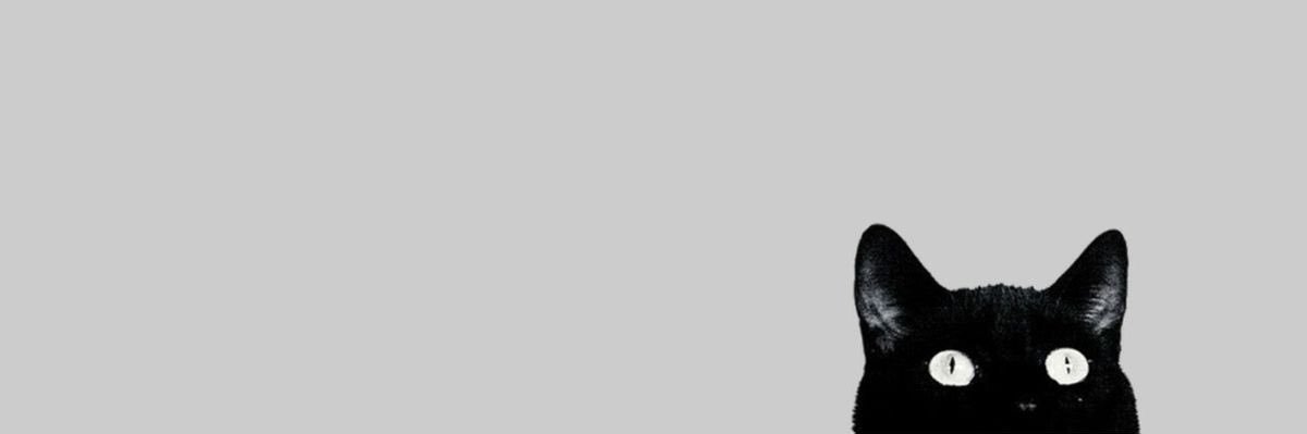every1hateslui's profile banner image
