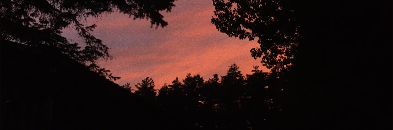 noturlilbby's profile banner image