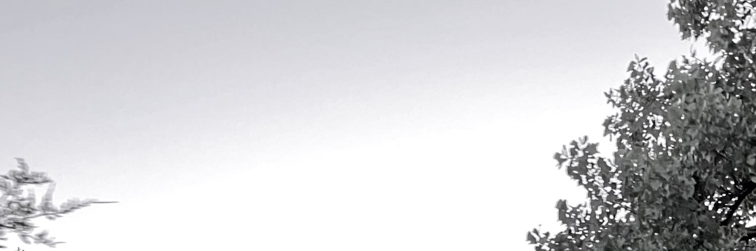 znovak35's profile banner image