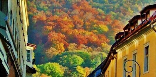 العتيبي banner