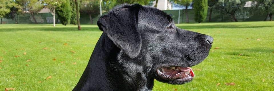 Jesus_Teje's profile banner image