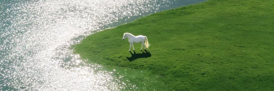 leylaoztekin's profile banner image