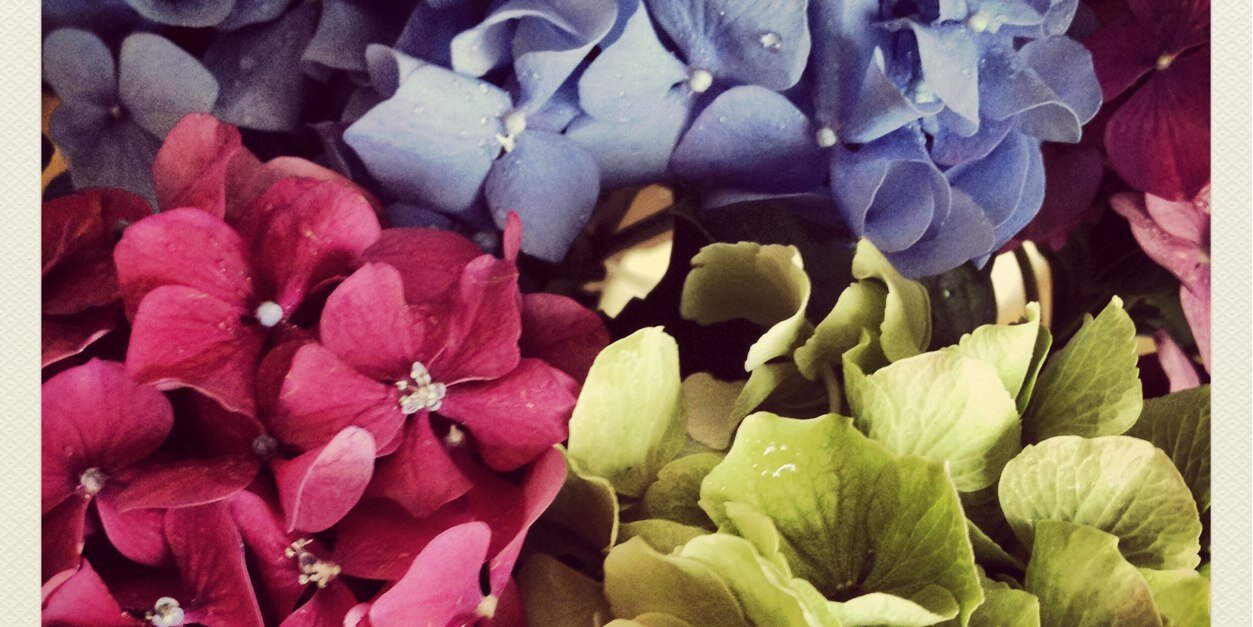 Anneka_Webb1's profile banner image