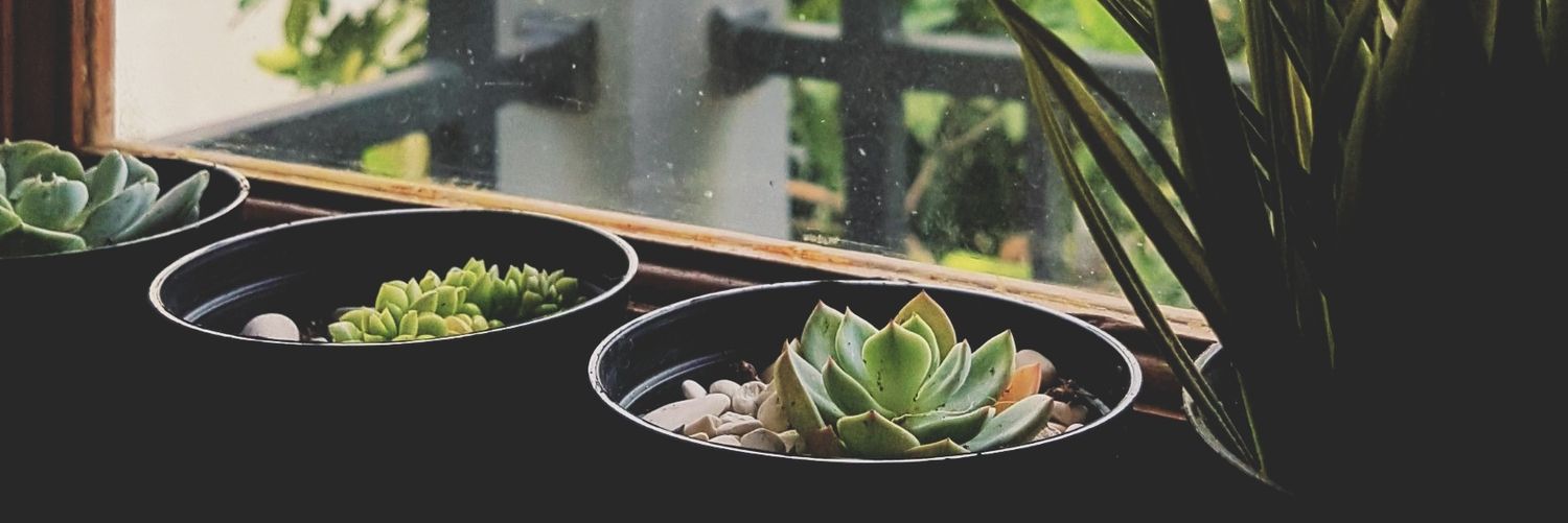 Itsliterelly's profile banner image