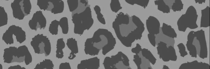 lunaludmilaa_'s profile banner image