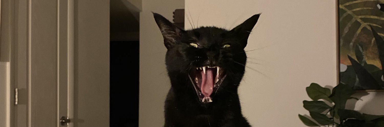 mongeloser's profile banner image