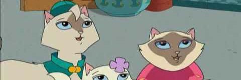 TypicalTania_'s profile banner image