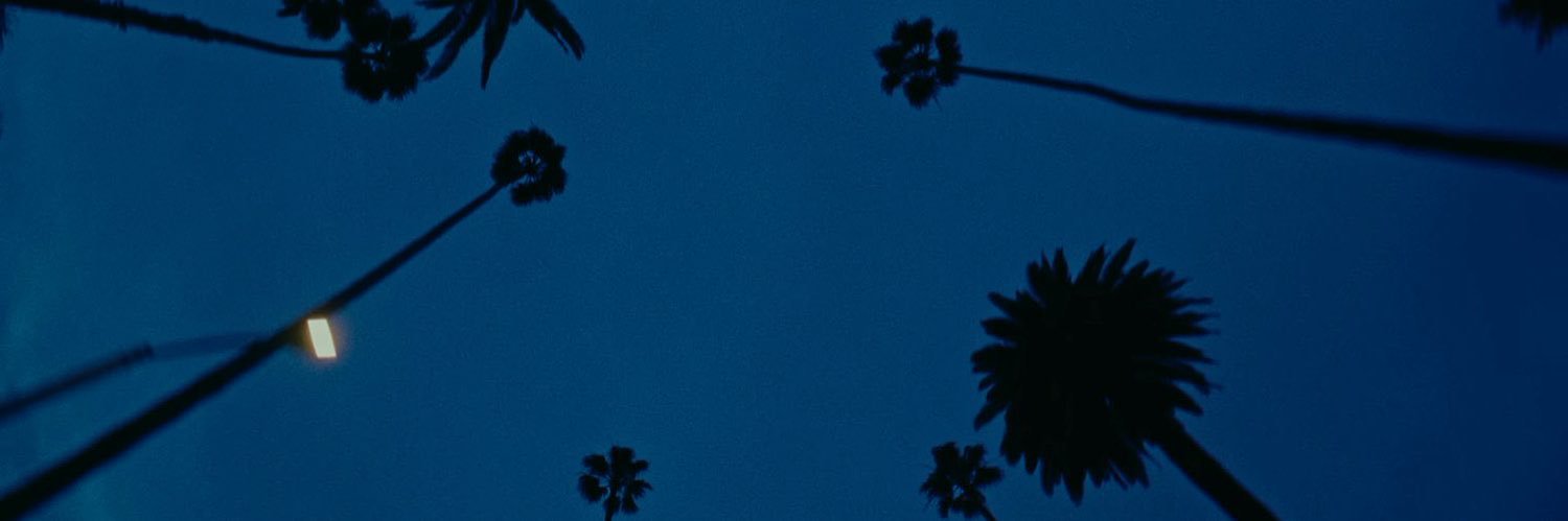 Alead2404's profile banner image