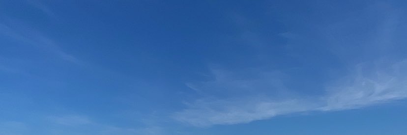 Rodrigues ✠ banner