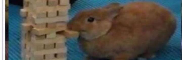 drekalth's profile banner image