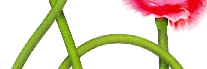 child7ren's profile banner image