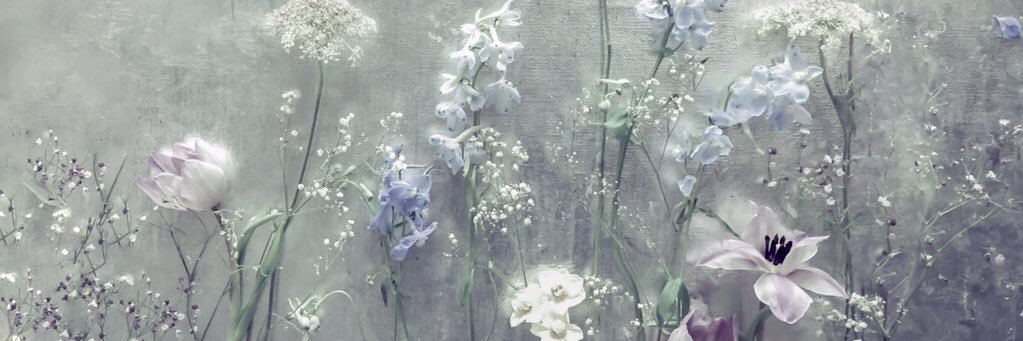 silverpea's profile banner image