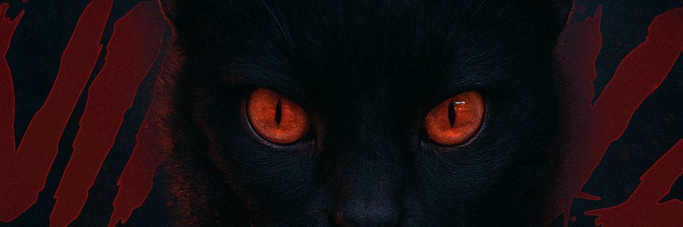 ANYMAL76's profile banner image