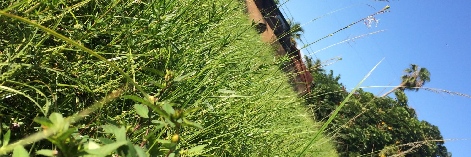HeyThereItsSJ's profile banner image
