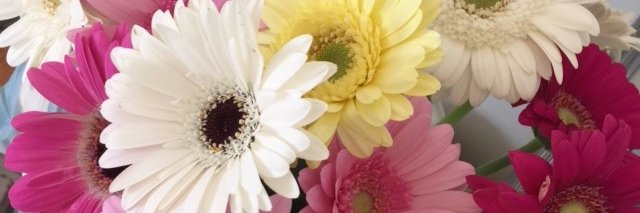 leag0816's profile banner image