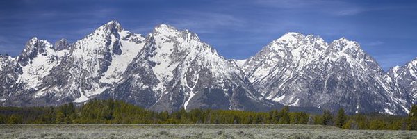 CurlingAlberta Profile Banner