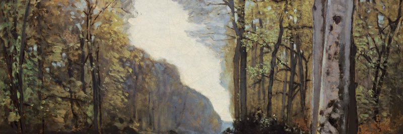 nula banner