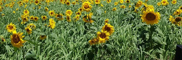 GreenpatchAg Profile Banner