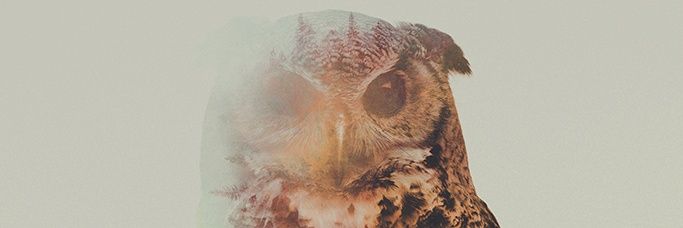 Frans_Ek0's profile banner image