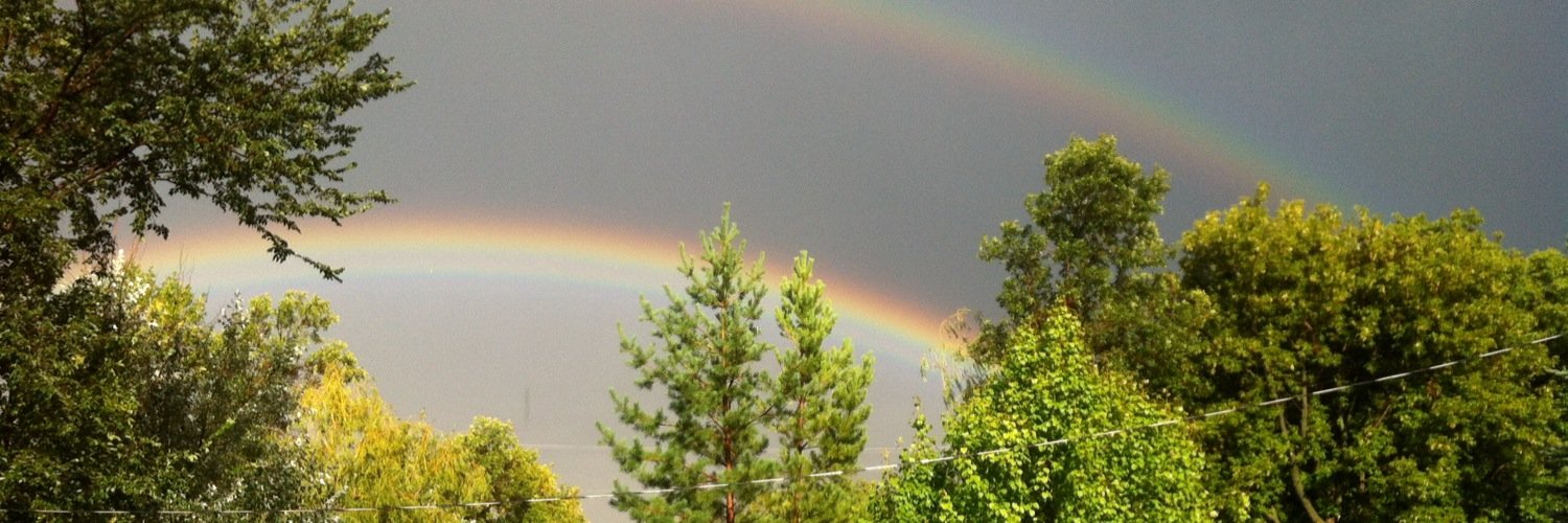 33_bear's profile banner image