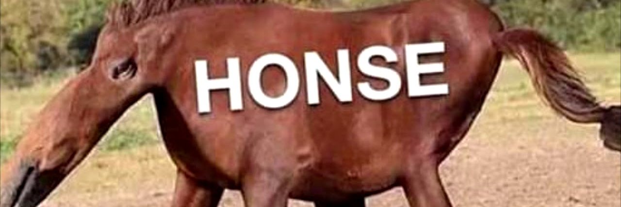 FloppyChickens's profile banner image