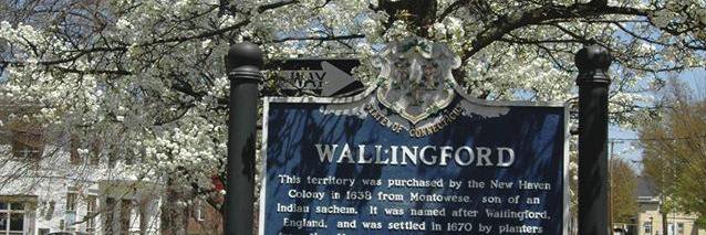 Wallingford350 banner